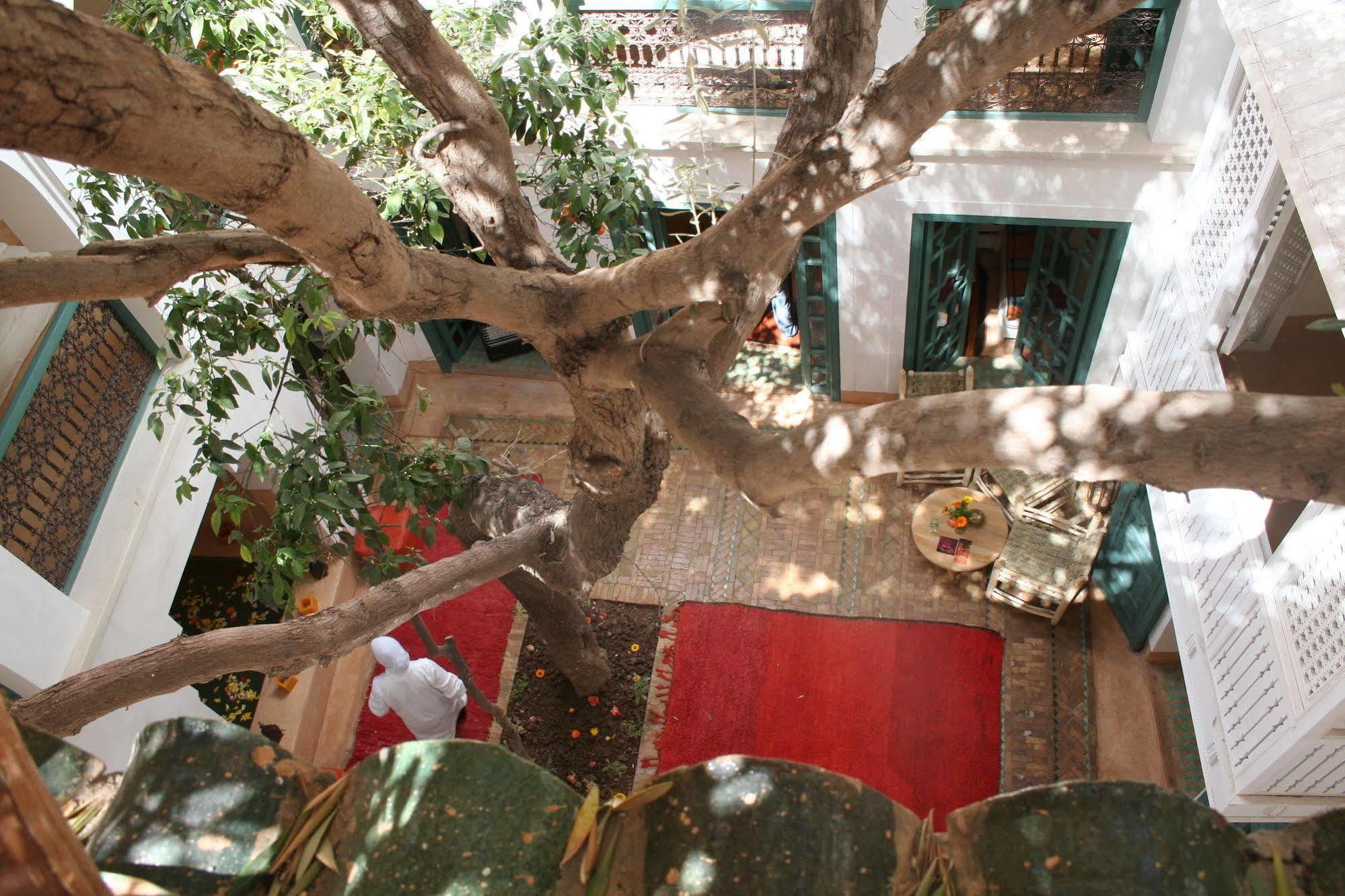 Riad Dar Zitouna En Exclusivite Marrakesh Eksteriør billede